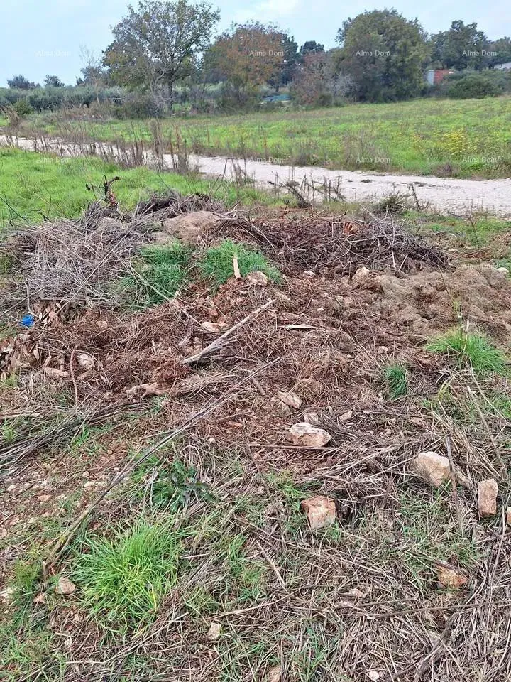 Construction Land Vintijan – 800 m2 – by the Road – 3