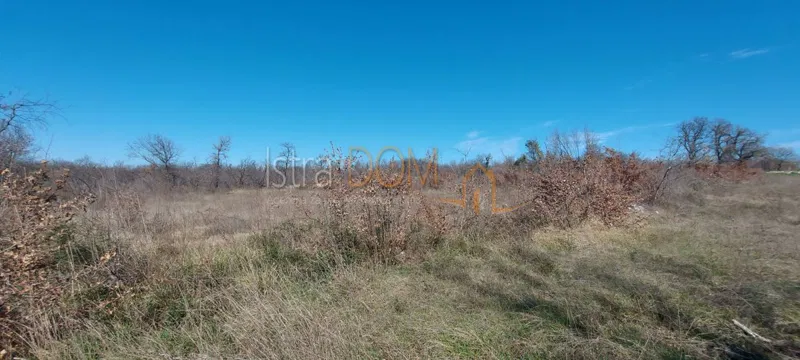 * ISTRA – CUKRIĆI 8.554 m² ZEMLJIŠTA * – 2