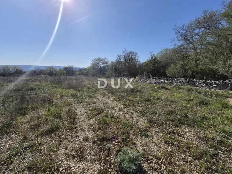 ISOLA DI KRK, LINARDIĆI - terreno di 4812 m2 in affitto