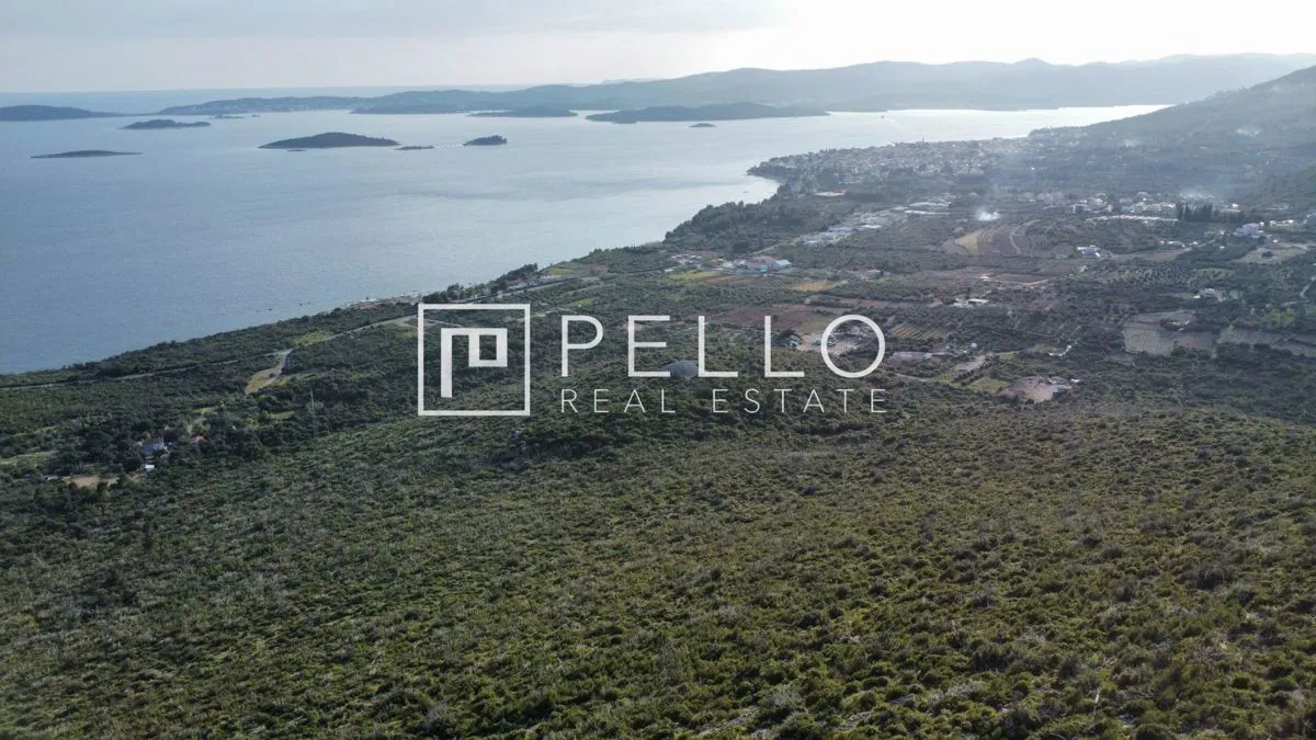 120.000 m²-es telek építési lehetőséggel – Pelješac-Orebić