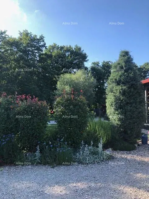 Casa Tinjan – 3
