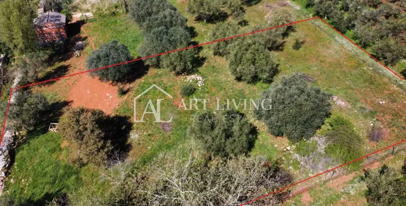 Buje - Kaštel - building plot 1250 m2, OPPORTUNITY – 2