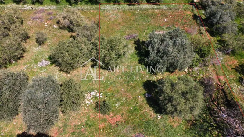 Buje - Kaštel - gradbeno zemljišče 1250 m2, PRILOŽNOST – 3