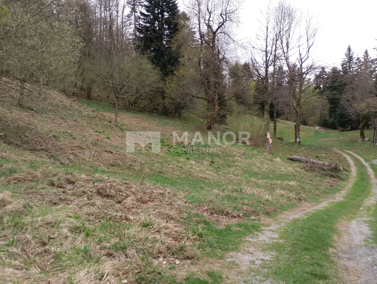 Crni Lug, Delnice, 15.876m2