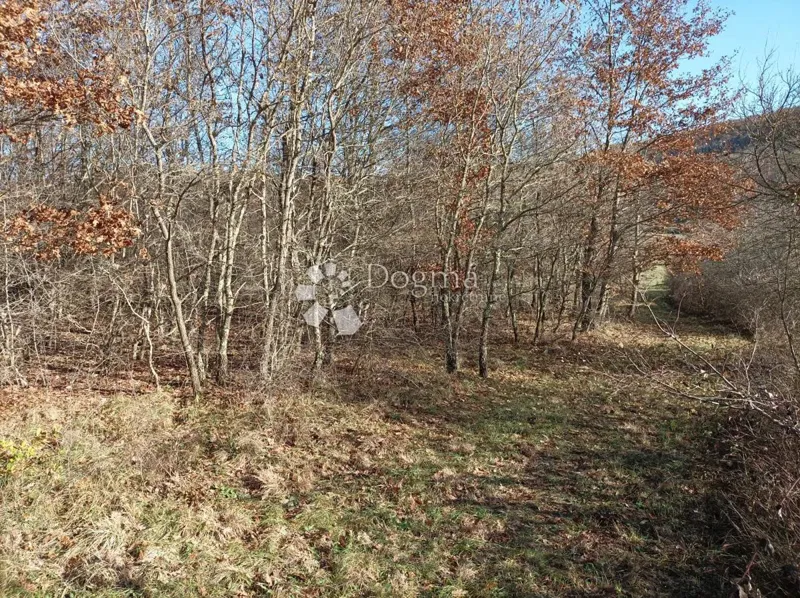 Ziemia rolna Barat, Kanfanar, 3.610m2 – 3