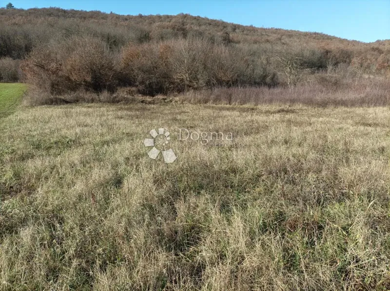 Agricultural land Barat, Kanfanar, 3.610m2 – 2