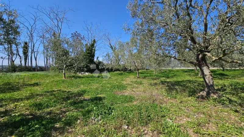 Mezőgazdasági terület Barbariga, Vodnjan, 2.720m2 – 3
