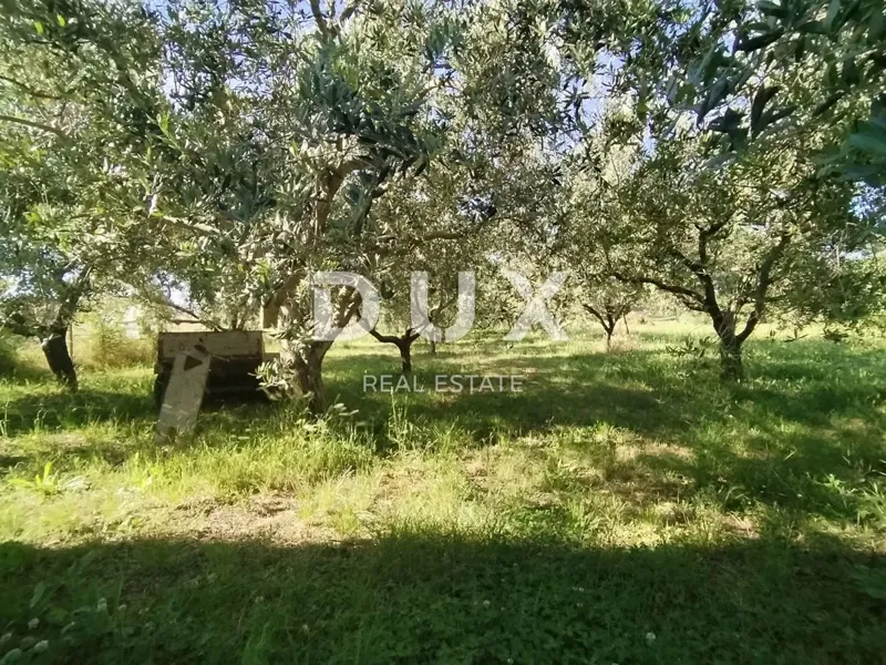 ISTRIA, MEDULIN - Agricultural land 1508 m2 – 2