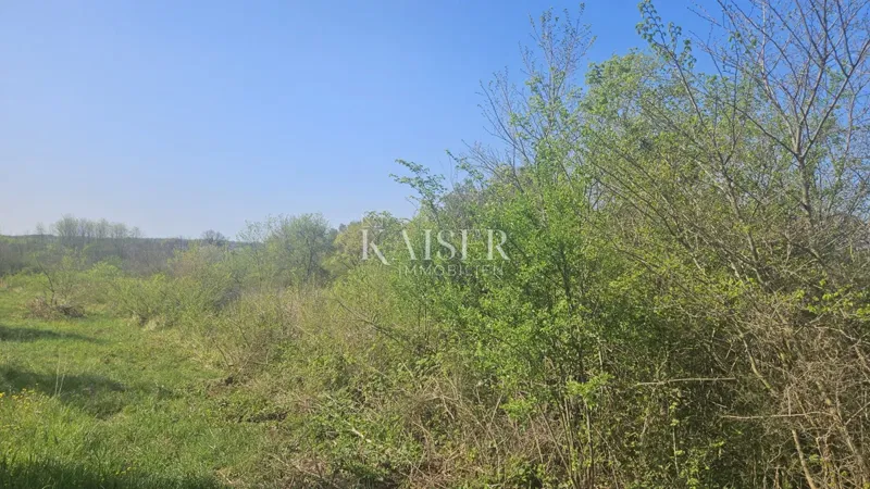 Umag, Isztria régió, mezőgazdasági terület a főút mentén – 2