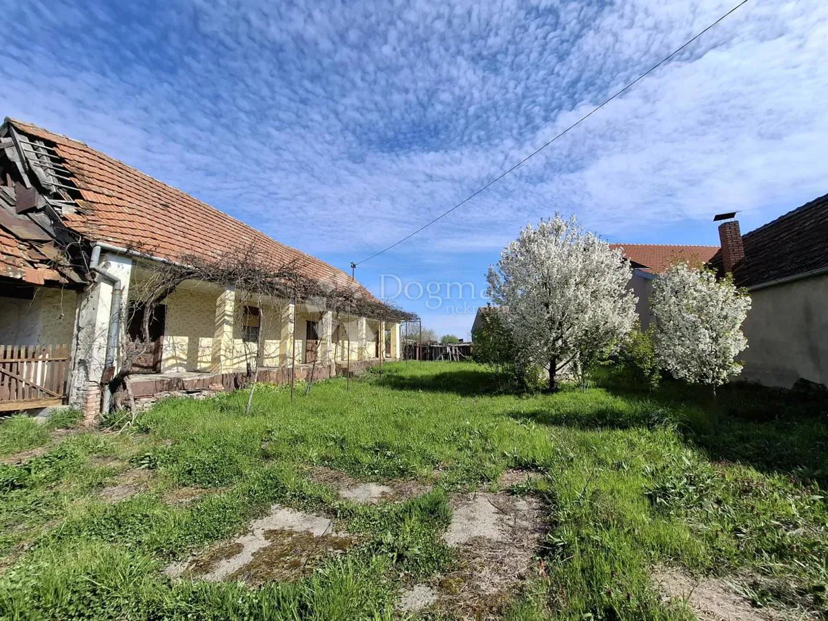 Dom Novi Mikanovci, Stari Mikanovci, 4.356m2