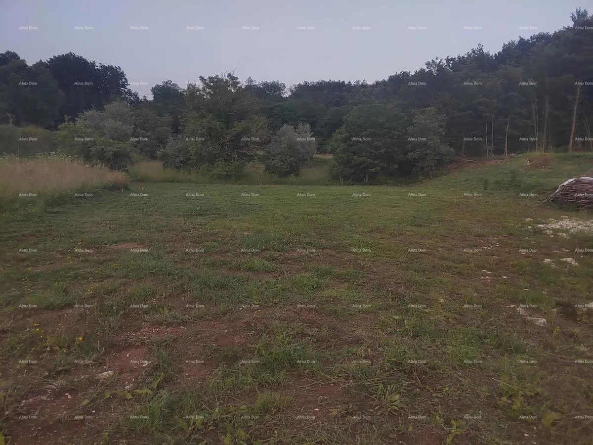 Građevinsko zemljište s  idejnim projektom, 1818 m², općina Pićan