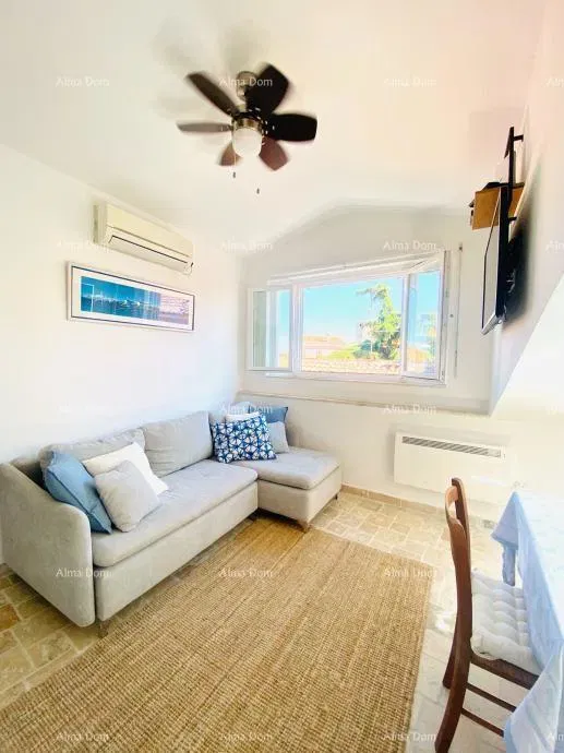 Novigrad, appartamento 47 m2 – 2