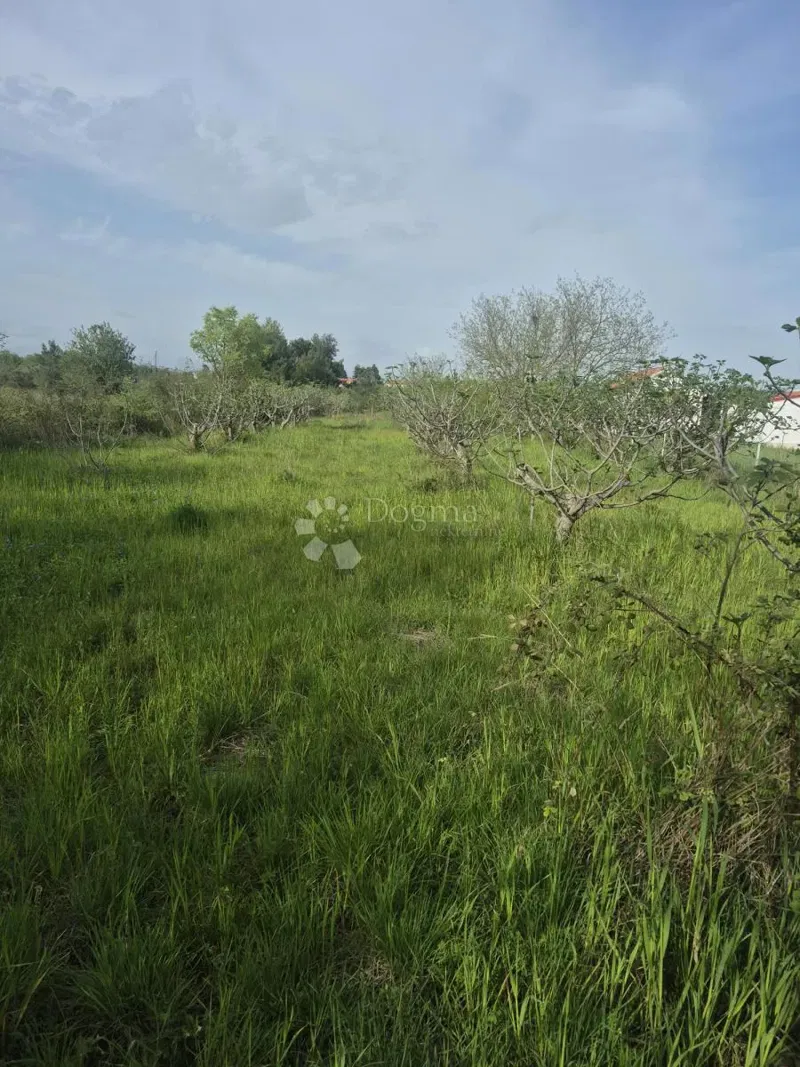 Terreno edificabile Smoković, Zemunik Donji, 2.885m2