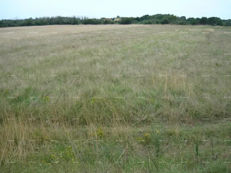 Jadreški, Vendesi terreno agricolo di 21.870 m² – 2