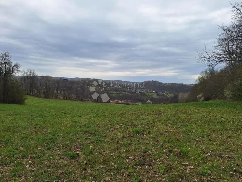 Veliko i uredno sa dosta šume