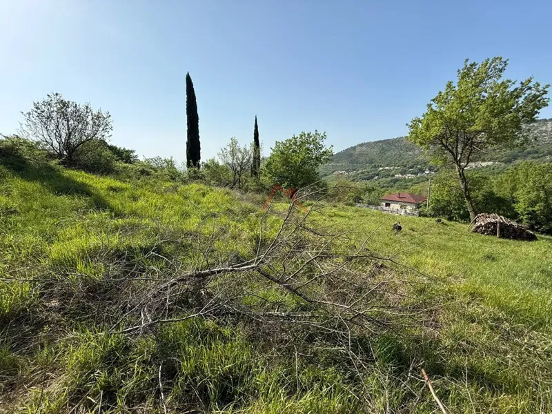Telek Bribir – 2