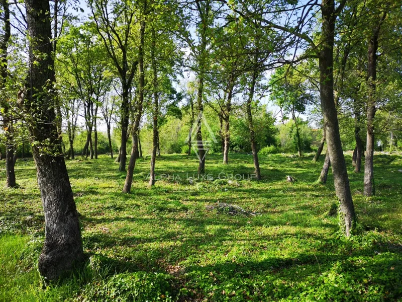 Istria, Montril: Terreno edificabile 3000 m²