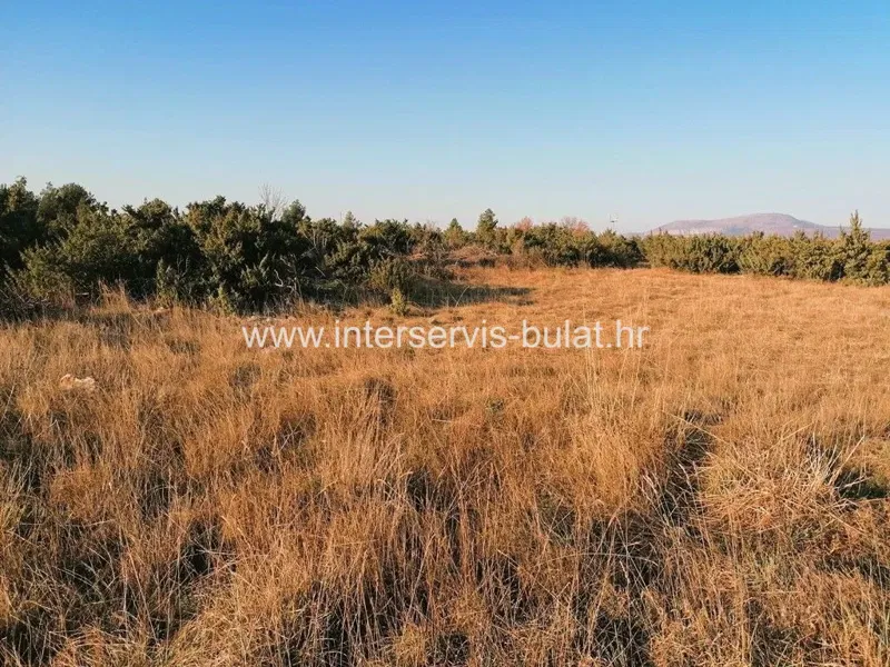 ::: INVESTITIONSMÖGLICHKEIT – 5.297 m² BAUGRUNDSTÜCK IN PAKOVO SELO ::: – 3
