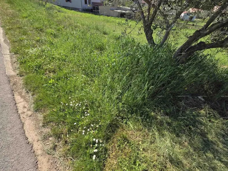 Construction land 1,412 m², Šegotići – 2