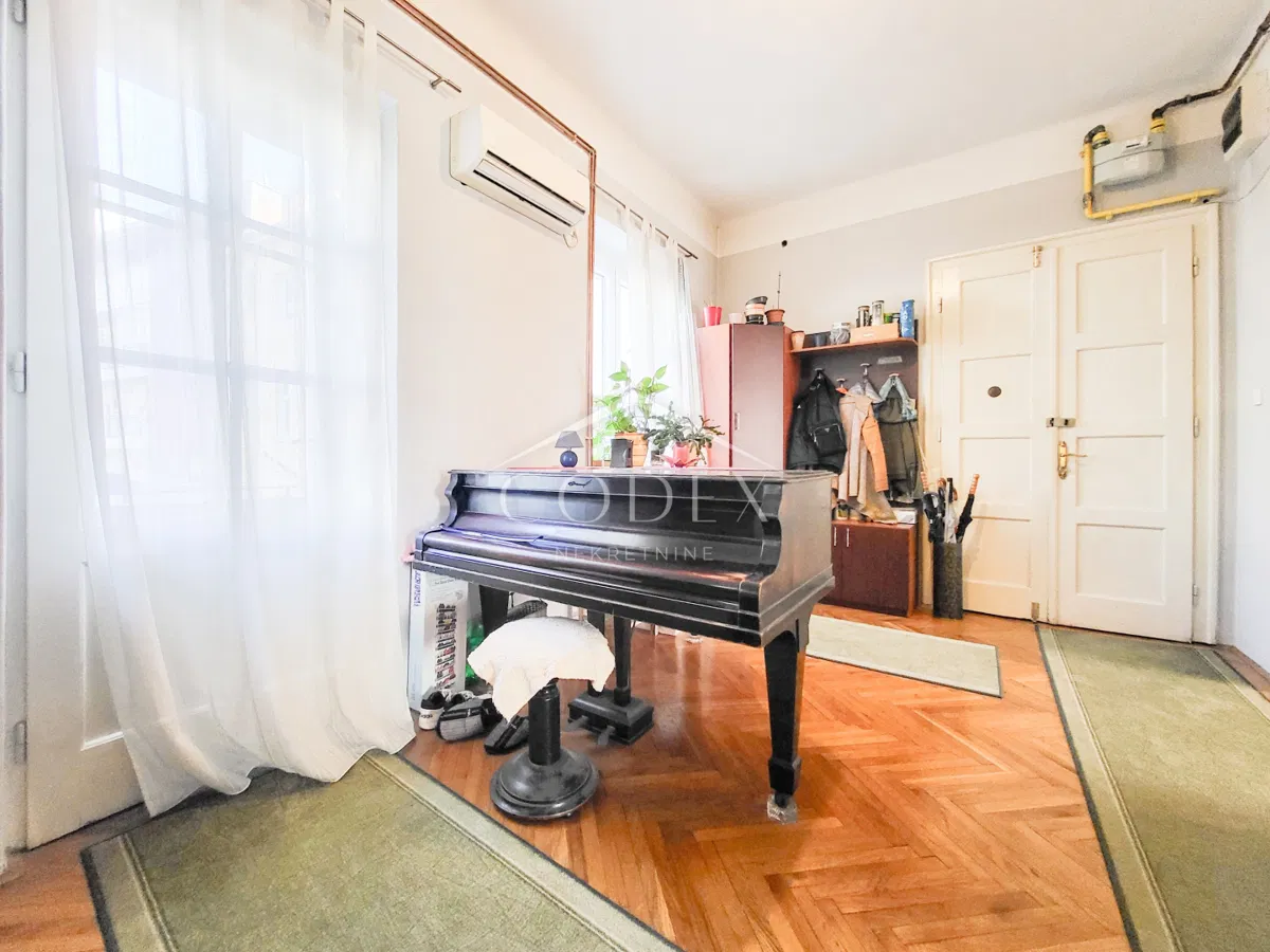 Karlovac centar - predivan salonski stan