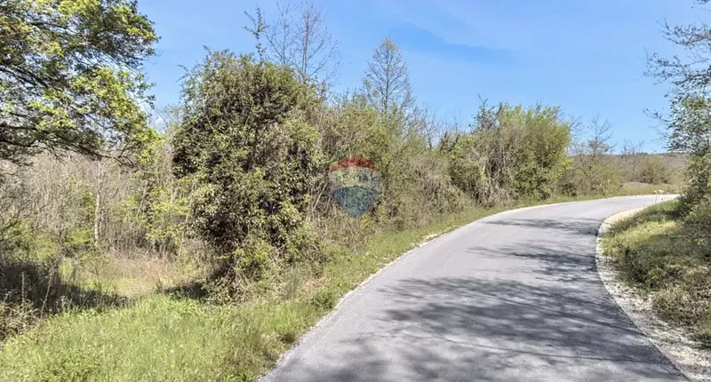 ISTRIA, ŽMINJ - Large agricultural land next to the road – 2