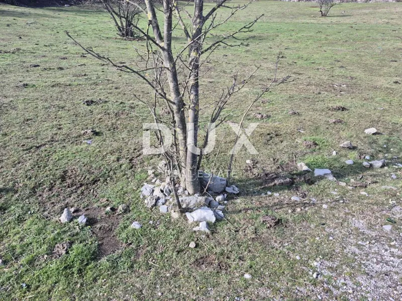 RIJEKA, ČAVLE -  građevinsko zemljište 650 m2