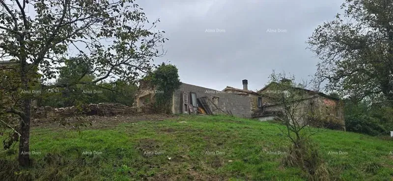 Grande proprietà con casa e terreno edificabile, nei dintorni di Buzet