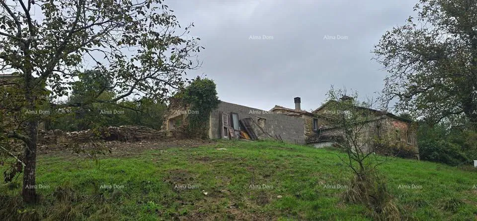 Veliko imanje s kućom i građevinskim zemljištem, okolica Buzeta