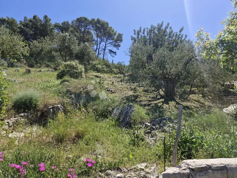 Teren budowlany Grohote, Šolta, 600m2