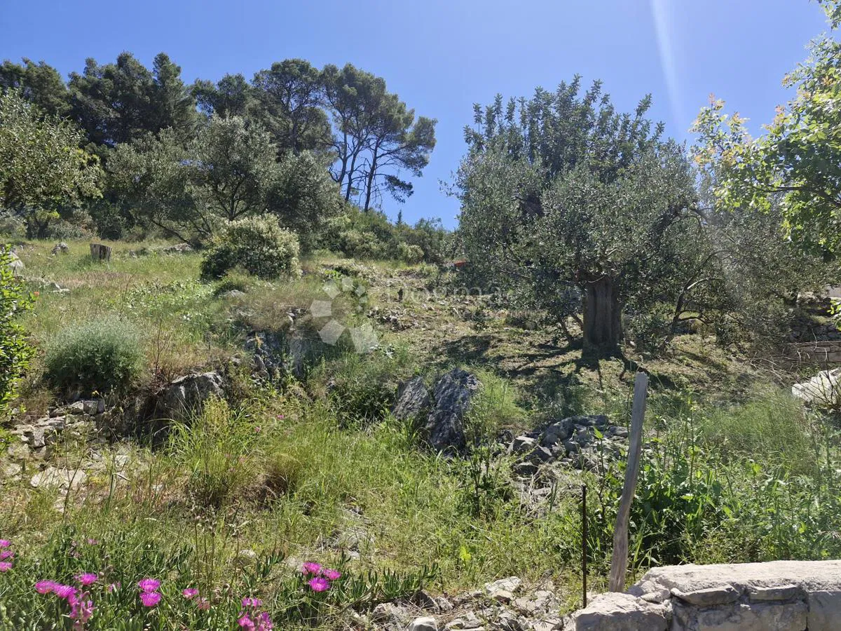 Terreno edificabile Grohote, Šolta, 600m2