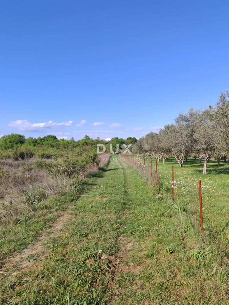 ZADAR, MURVICA - Terreno agricolo in posizione tranquilla 961 m2 – 2