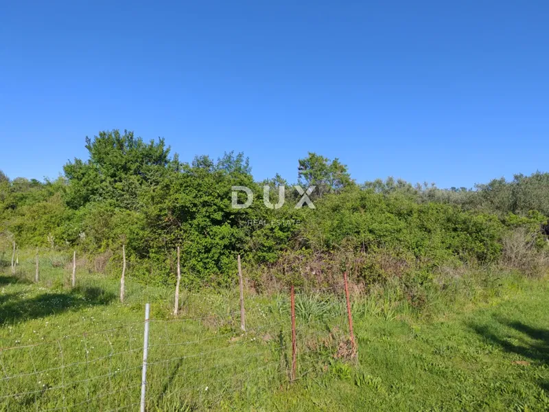 ZADAR, MURVICA - Terreno agricolo in posizione tranquilla 961 m2 – 3