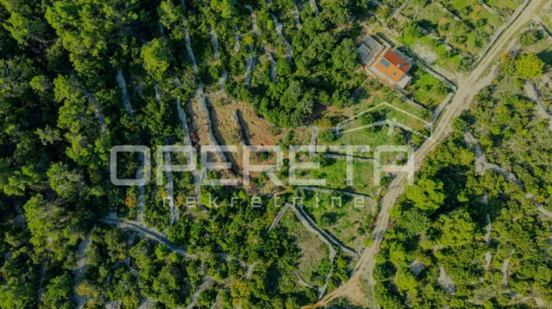 Poljoprivredno zemljište od 3050 m2 s maslinama i suhozidima