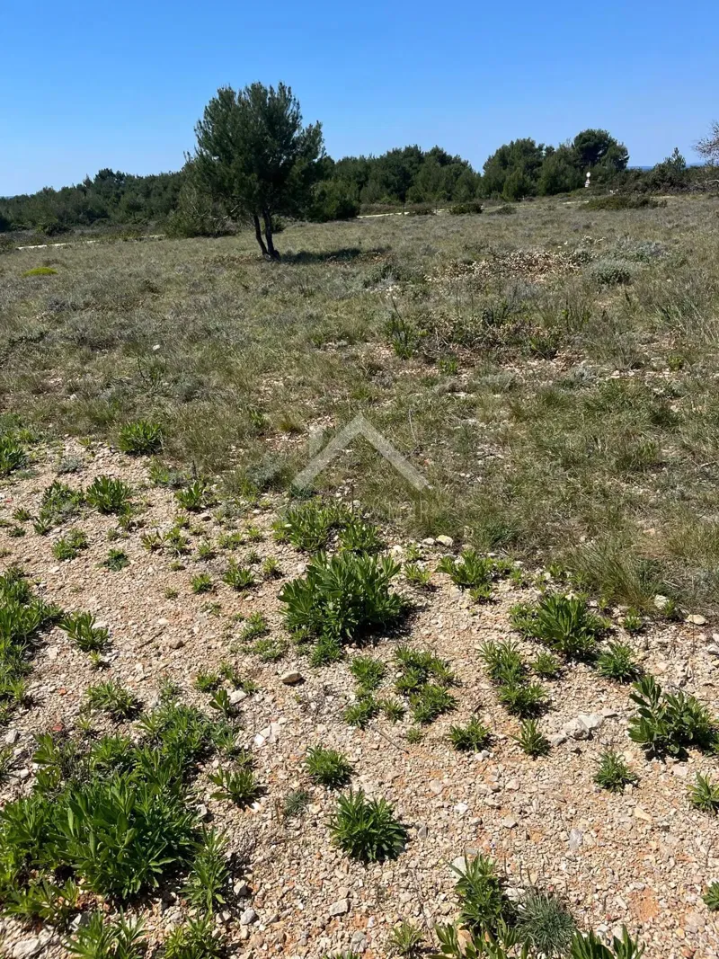 Land Vir, 600m2 – 3