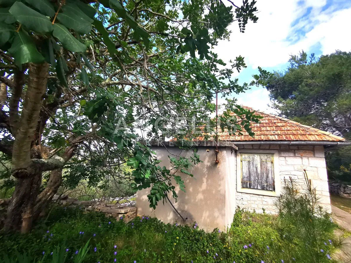 Šolta, Nečujam- građ.zemljište u centru mjesta, 8000m2, PRODAJA