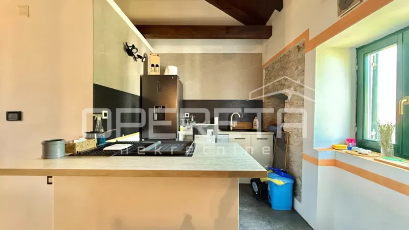 Apartment mit einem Schlafzimmer und großer Terrasse, 48 m², Vrsi