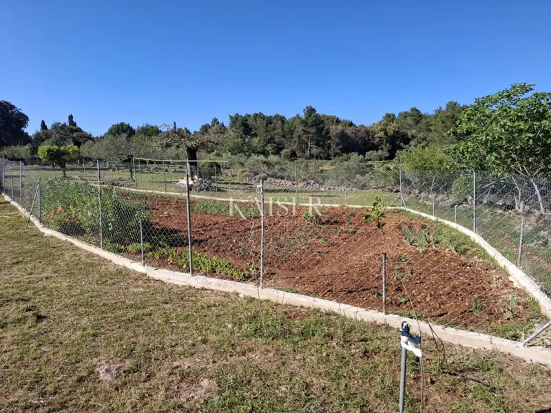 Island of Cres, Punta Križa, house 30 m2 with 8,000 m2 of land – 2