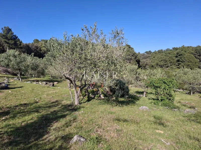 Island of Cres, Punta Križa, house 30 m2 with 8,000 m2 of land – 3