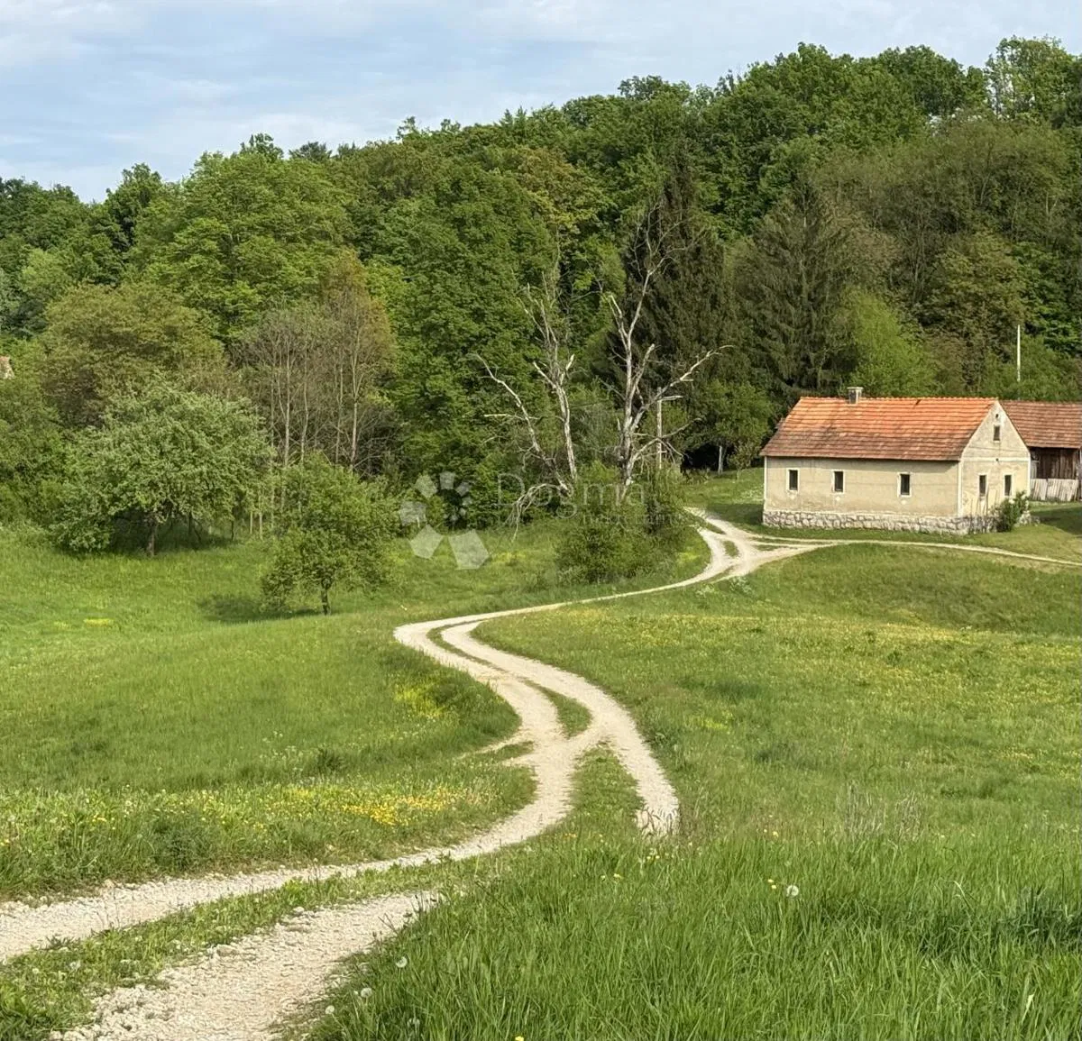Kuća + šuma + vinograd u blizini rijeke Mrežnice