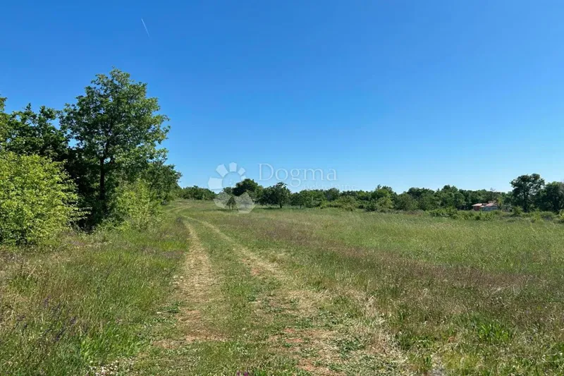 Agricultural land Svetvinčenat, 3.609m2 – 2