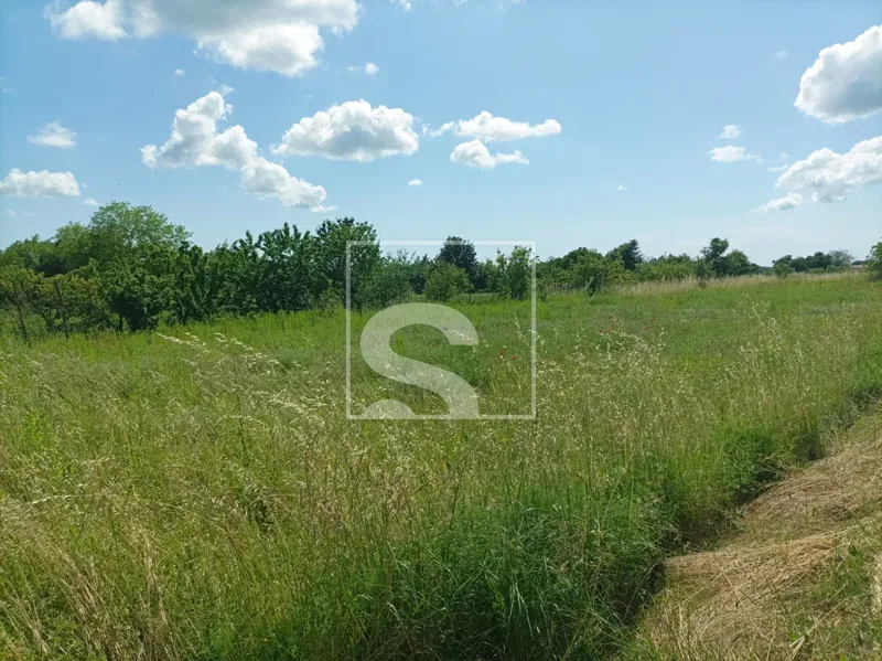 Terreno Žminj – 3