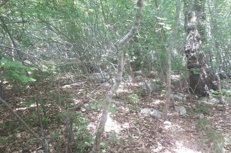 Agricultural land, for sale, Vrbnik, Croatia, 34519 m2, 120.000,00 EUR – 2