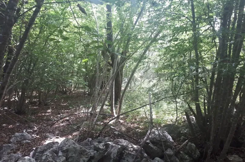 Agricultural land, for sale, Vrbnik, Croatia, 34519 m2, 120.000,00 EUR – 3