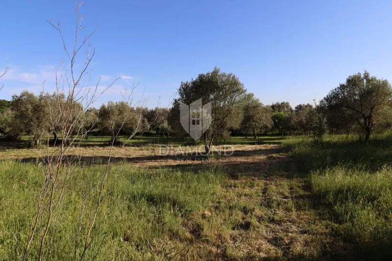 Terreno edificabile a Šijan – 2