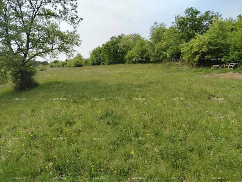 Građevinsko zemljište 3.528 m² ,  u blizini Grožnjana
