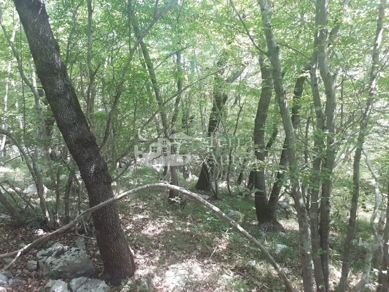 Farmland Garica, Vrbnik, 34.519m2 – 3