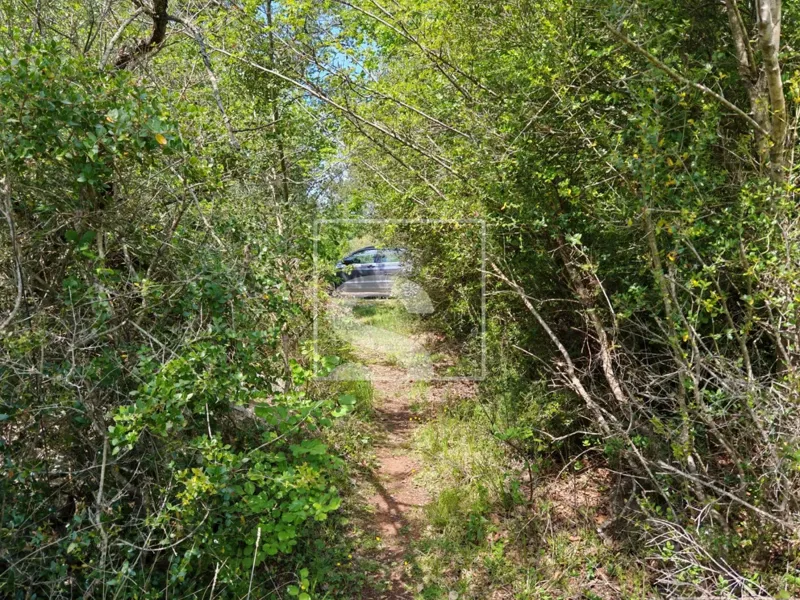 Terreno Peroj – 3