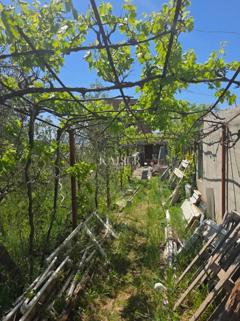 Zara - Briga Bili: terreno in affitto 1627 m2