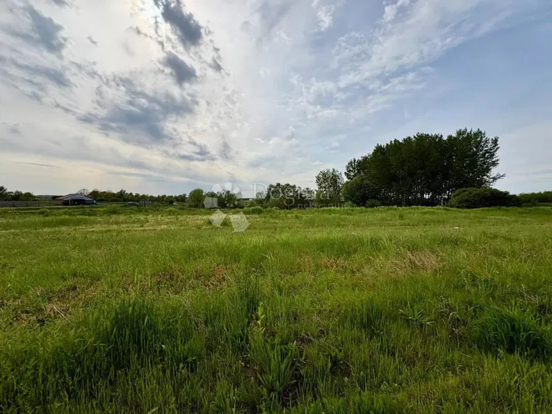 Mezőgazdasági terület Darda, 1.675m2