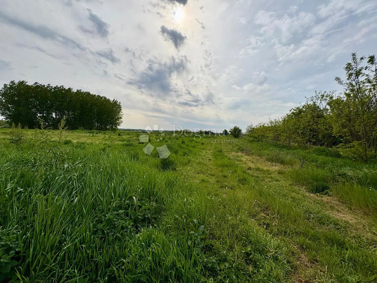Mezőgazdasági terület Darda, 1.675m2